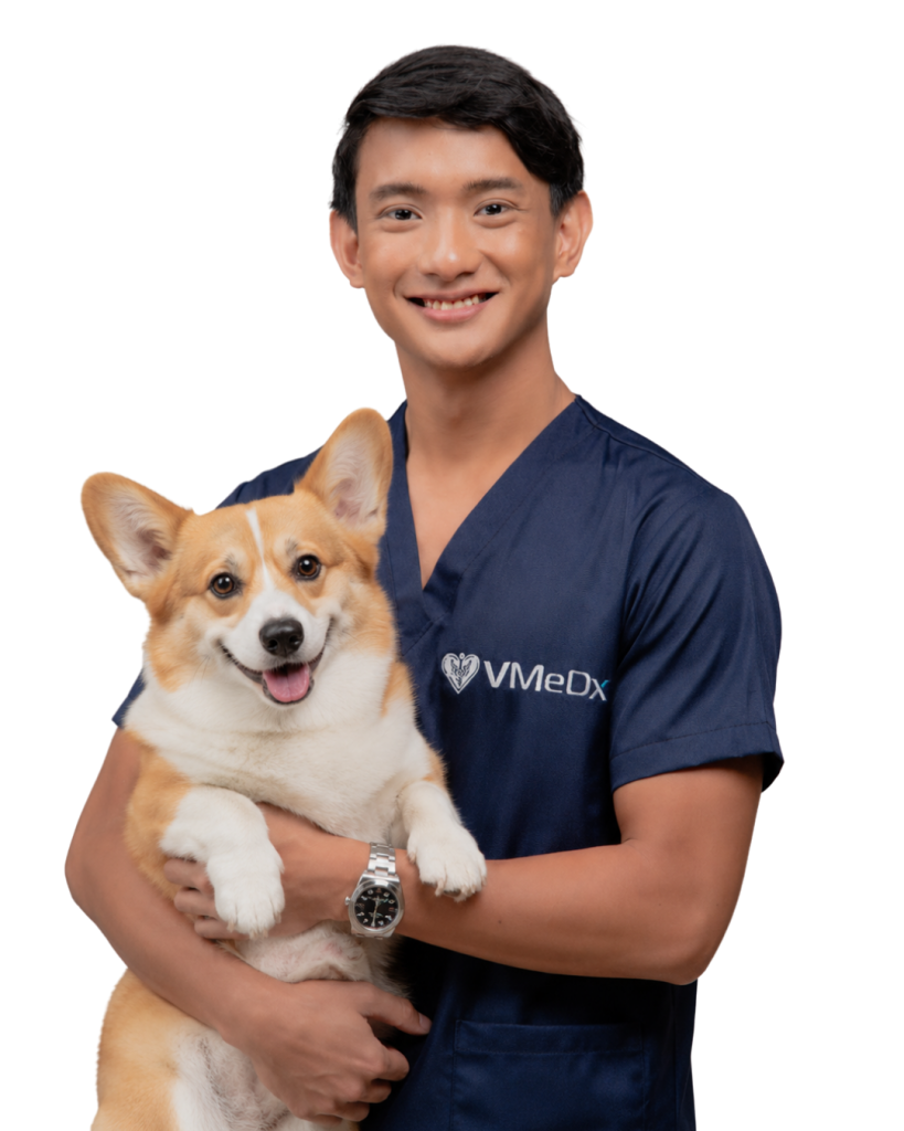 Virtual-Medical-Veterinary-Assistant